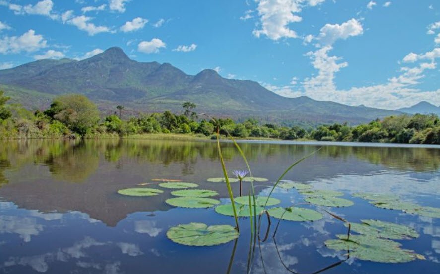 Garden Route Botanical Garden, South Africa